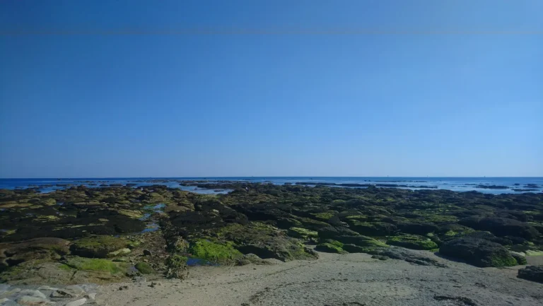 Estran rocheux découvert à marée basse à la pointe de Mousterlin, sur le tracé du GR34 en Finistère Sud