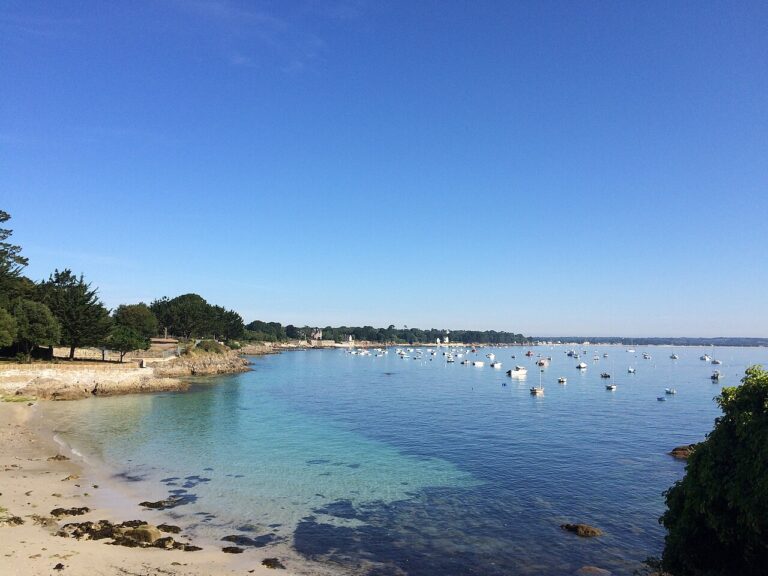 Plage des Oiseaux à Beg-Meil, vue sur le rivage