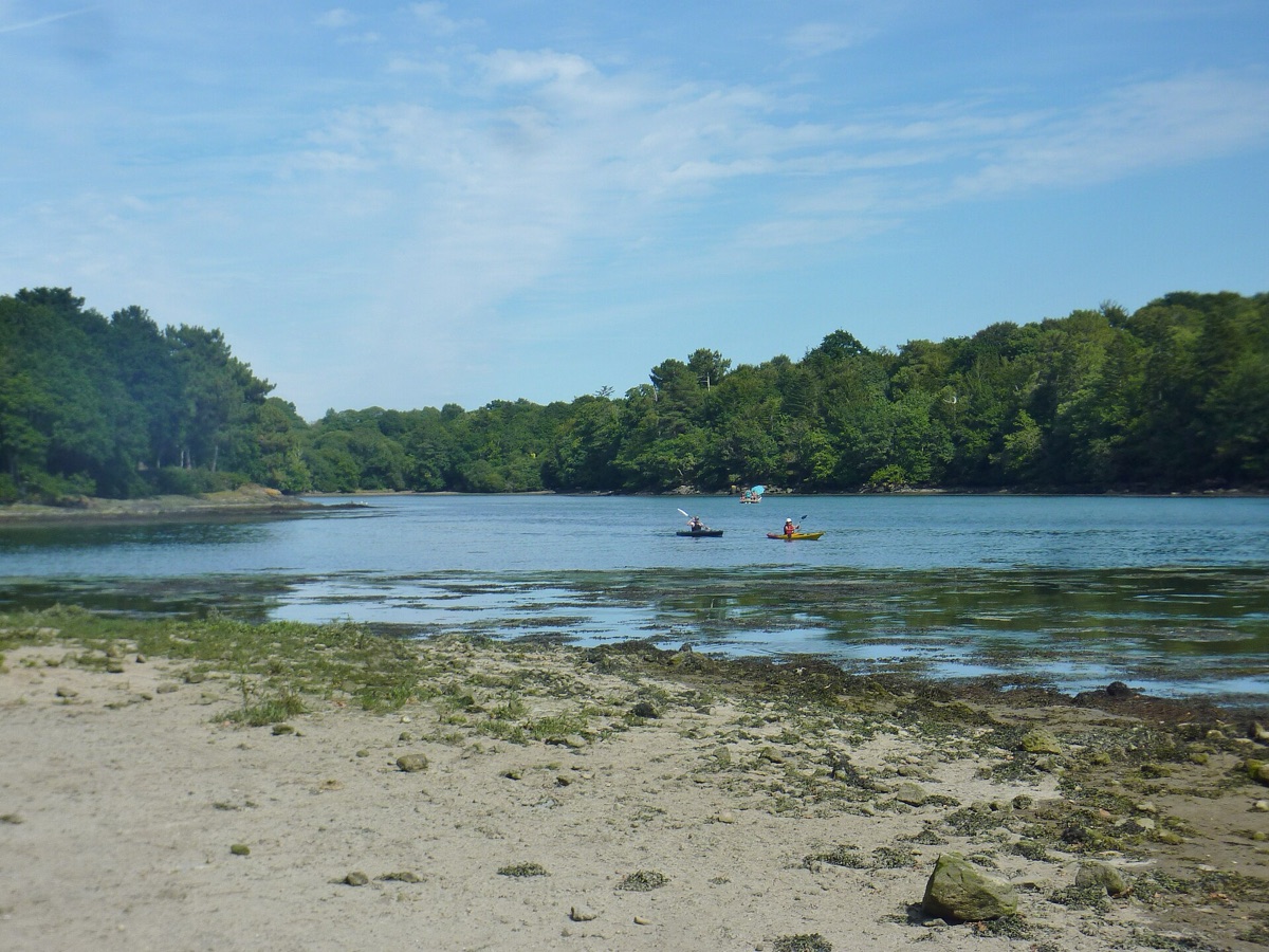 Une anse boisée de l'Odet avec deux kayaks, rive de Gouesnac'h