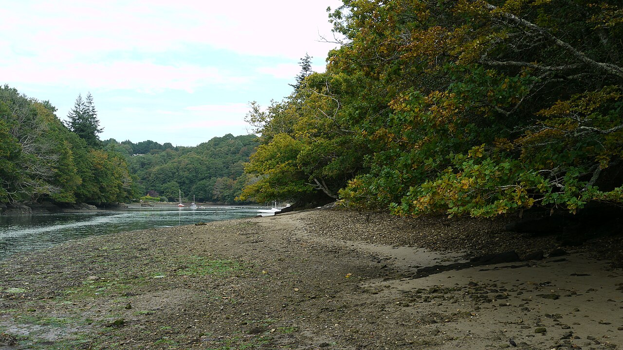 Crique boisée de l'anse de Saint-Laurent à marée basse, avec deux bateaux échoués