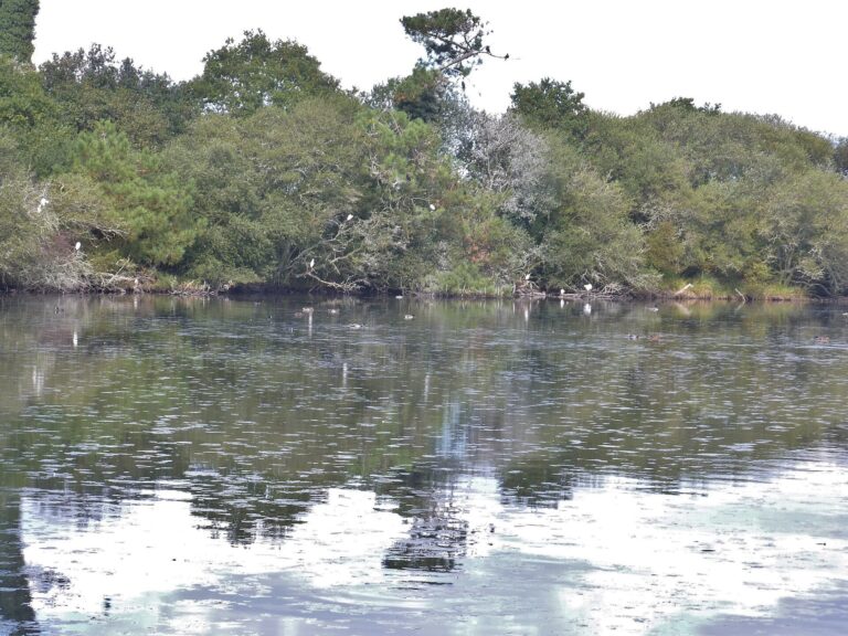 Le marais de Mousterlin traverse par les itineraires velo du pays fouesnantais