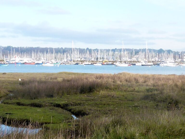 Port-la-Foret vu depuis la pointe du Cap-Coz dans le pays fouesnantais