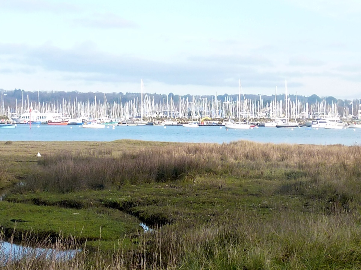 Port-la-Forêt et son marais vus depuis le Cap-Coz