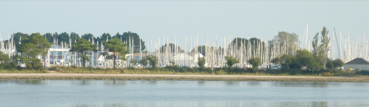 Les mâts de Port-la-Forêt vus depuis la ria de La Forêt-Fouesnant